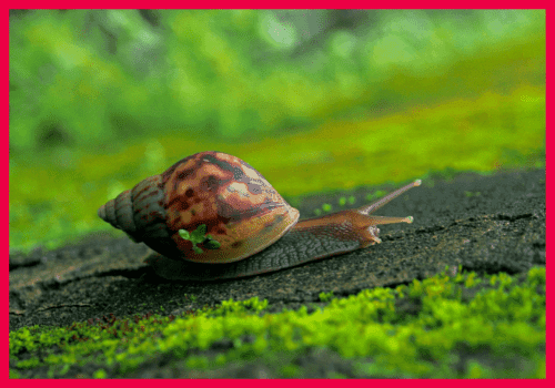 6 common seo mistakes that are costing you traffic 8 - burger gelato media 4. slow website burger gelato media - burger gelato media